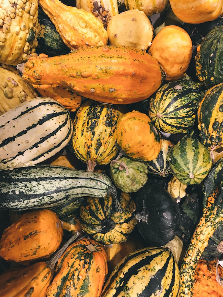 Pile of squashes