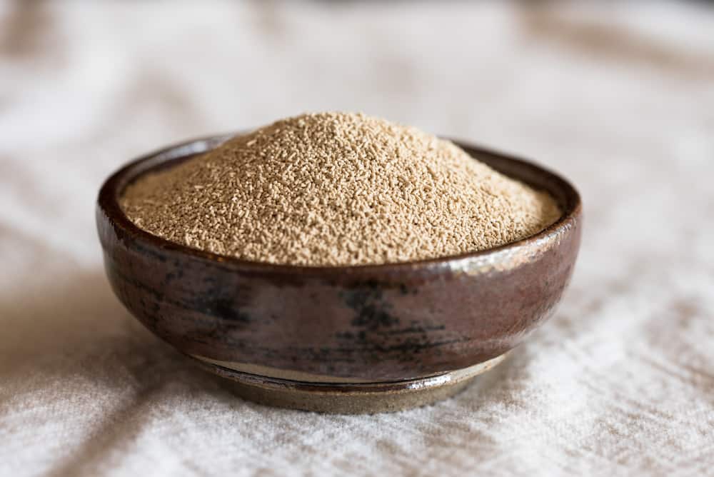 Dry yeast in a bowl